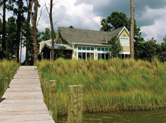 Living Shorelines for Property Owners